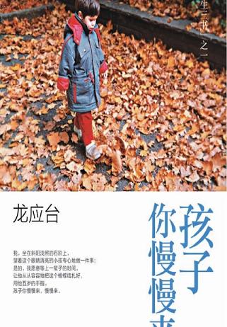 孩子你慢慢来:龙应台“人生三书”之一